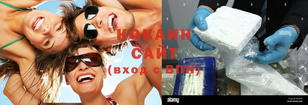 индика Абинск