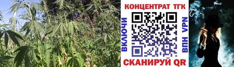 Дистиллят ТГК концентрат  купить наркотики сайты  Венёв 