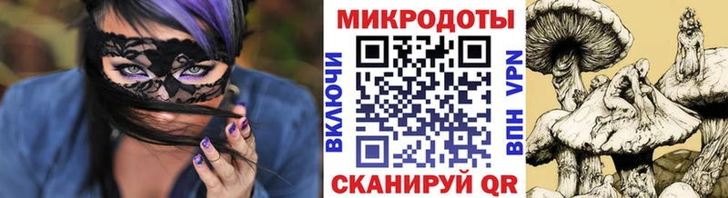 магазин продажи наркотиков Венёв Галлюциногенные грибы Magic Shrooms